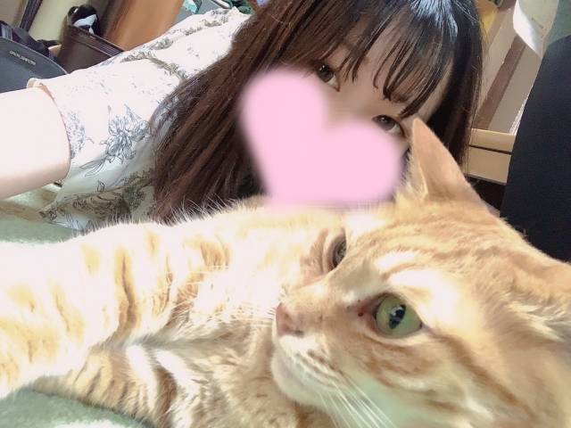 チコ