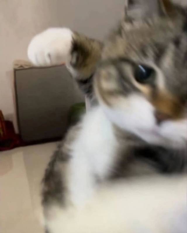 ララ